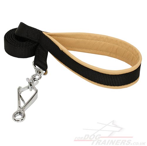 Long nylon dog lead